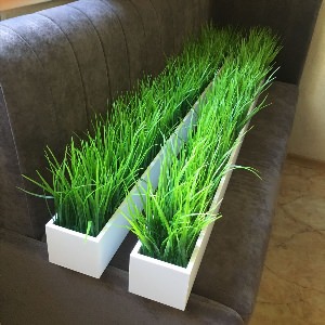 Искусственная трава для интерьера помещений