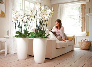 Искусственные цветы напольные для домашнего интерьера