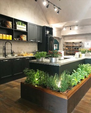 Растения в интерьере кухни