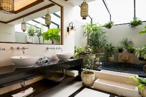 Интерьер ванн с растениями