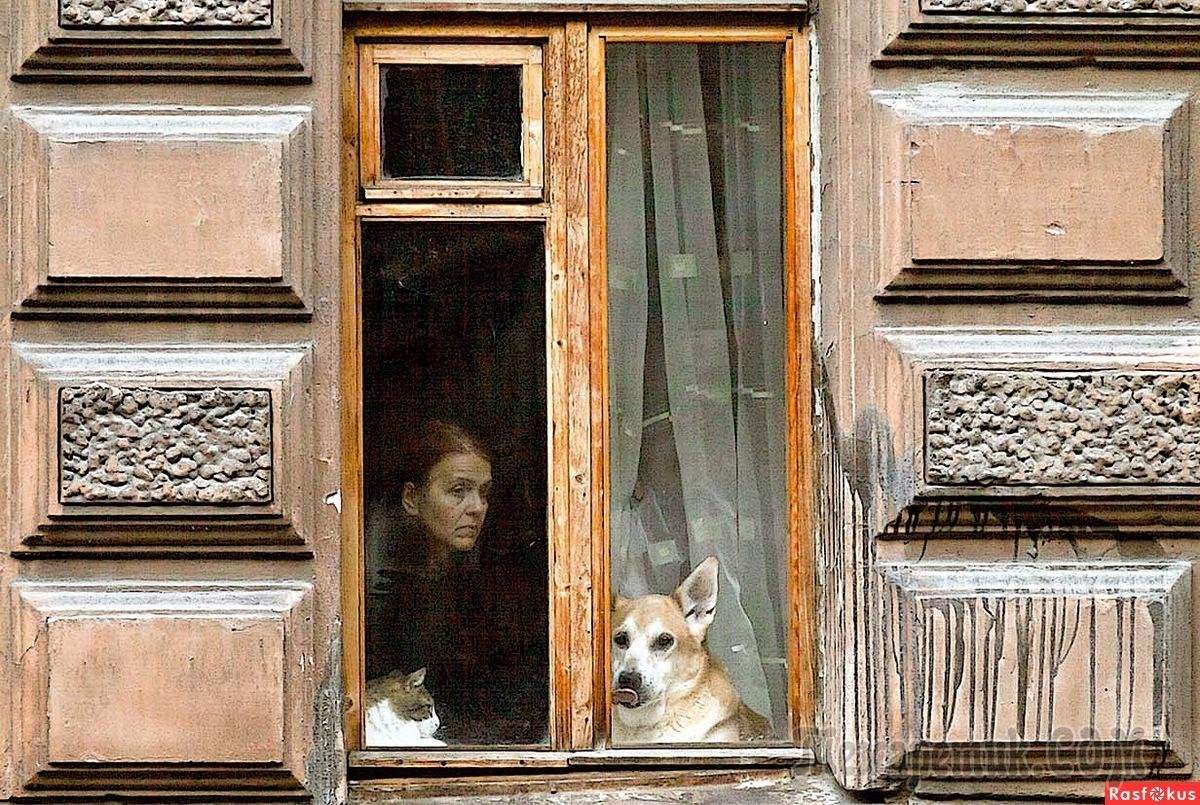 Открытые окна спб. Питерские окна. Советские окна. Вид из питерского окна. Интересные окна.