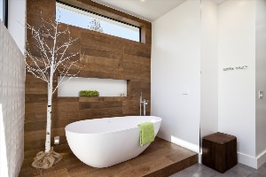 Ванная комната белая с деревом