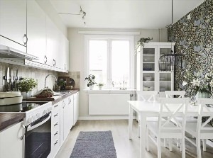 Кухня в норвежском стиле