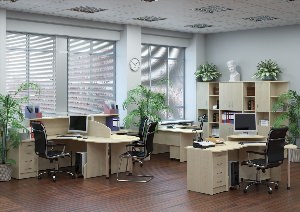Дизайн кабинета в офисе