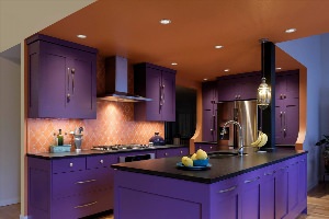 Кухни фиолетового цвета