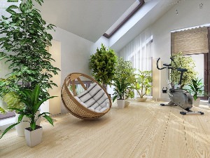 Растения в интерьере квартиры 2