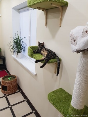 Когтеточка для кошек в коридоре
