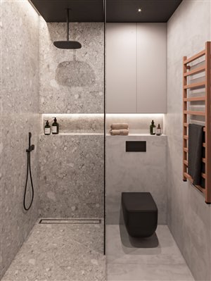 Дизайн ванной с душем и туалетом