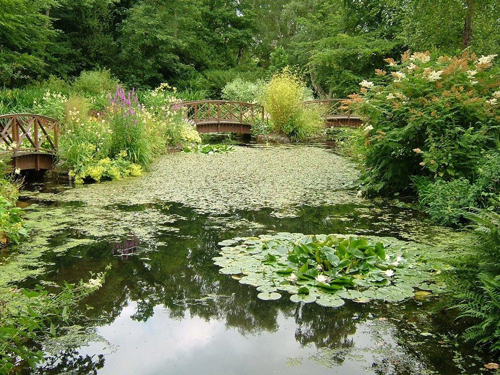 Болотный сад. Пруд в пейзажном стиле. Английский сад за прудом роща Рагово. Сад в пейзажном стиле. Болотце в саду.