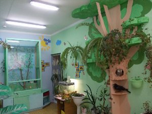 Экологический кабинет в детском саду