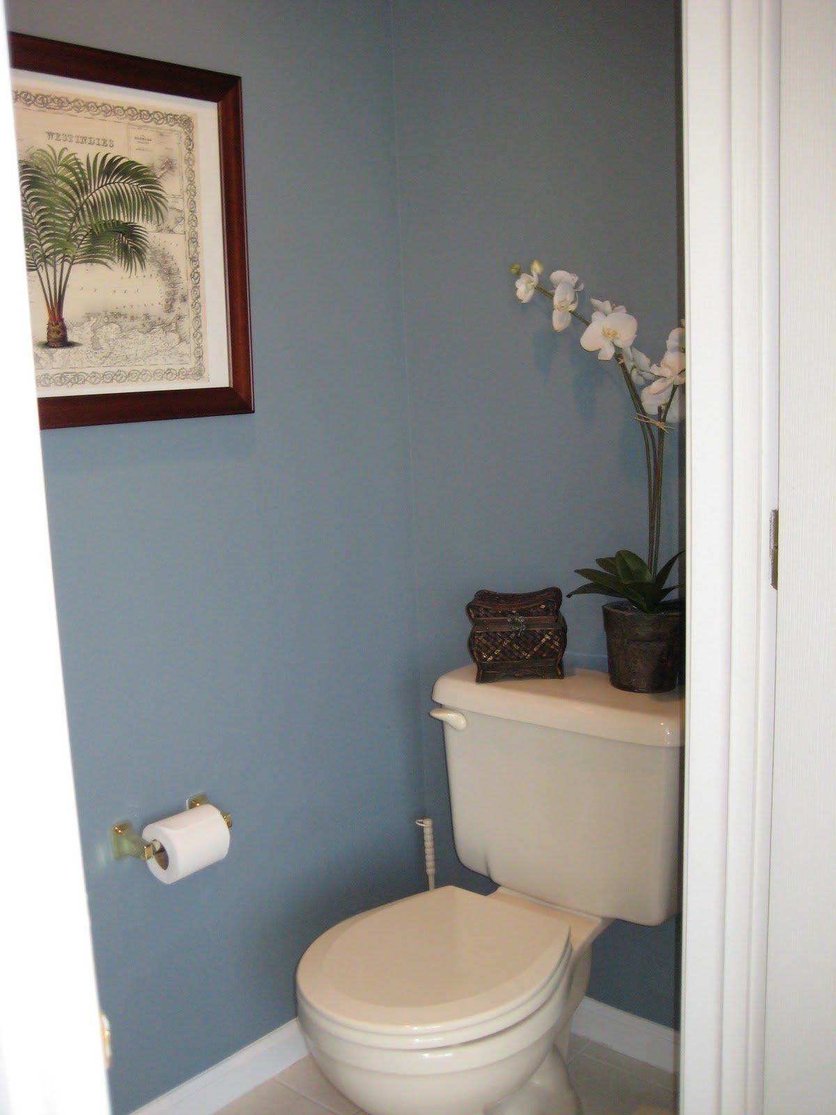 Цвет стен в туалете - 73 фото