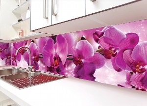 Скинали орхидеи для кухни