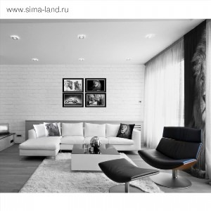 Картина черно белая для интерьера гостиной