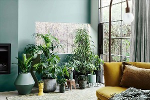 Крупные комнатные растения в интерьере