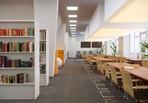 Современный читальный зал