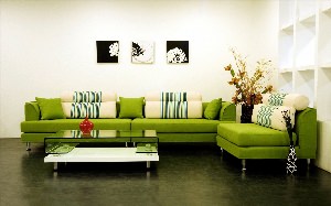 Фотообои к зеленому дивану
