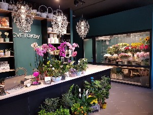 Интерьер магазина цветов