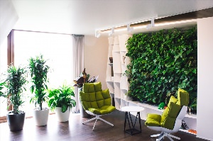 Искусственное озеленение в интерьере квартиры