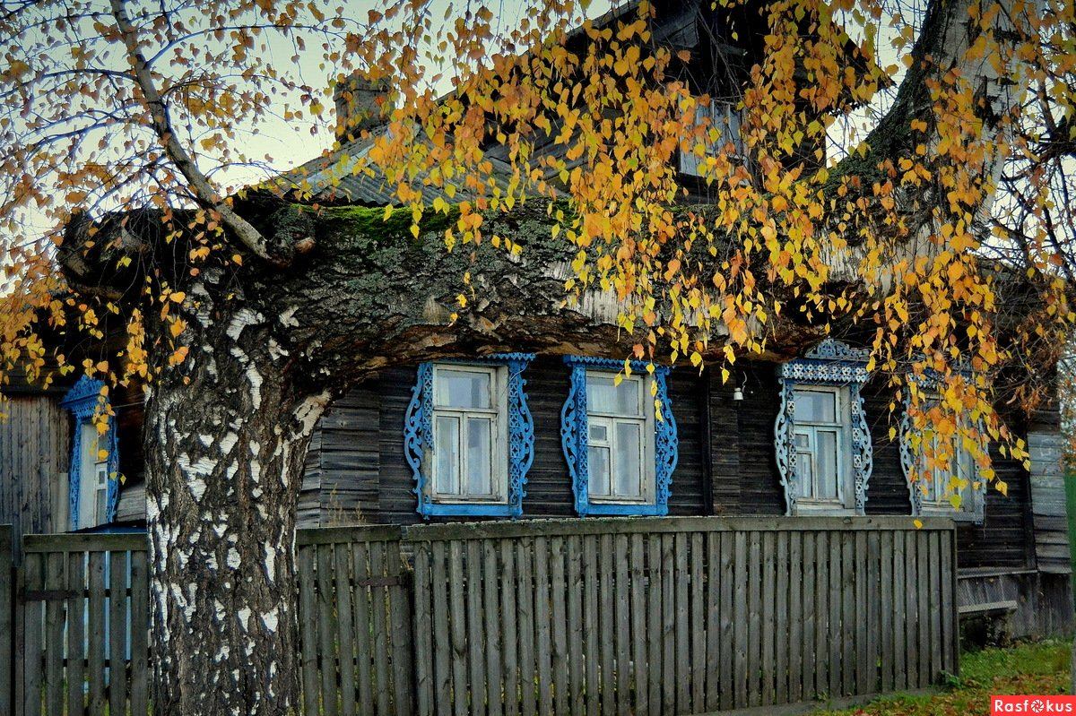 Мамин старенький домик. Осень в деревне. Старый домик. Деревня осенью. Осенние Деревенские домики.