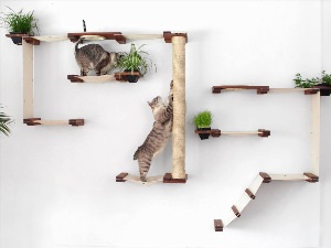 Лазалки для кошек на стену