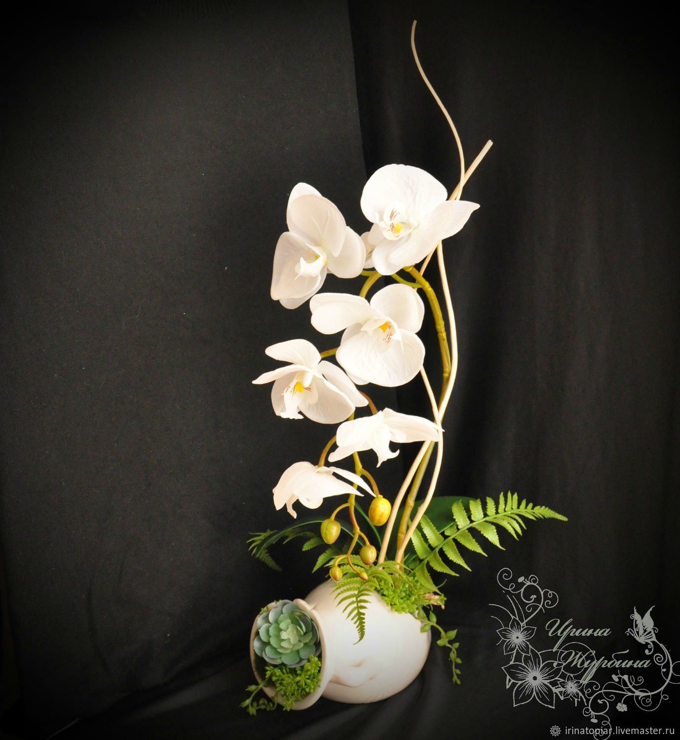 Орхидея Скенза