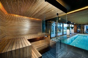 Дизайн бани с бассейном