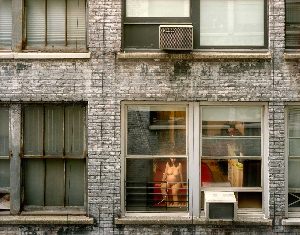 Соседи в окне