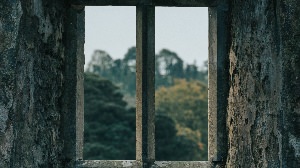 Вид из старого окна