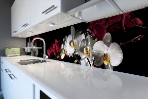 Фартук для кухни стеклянный орхидеями
