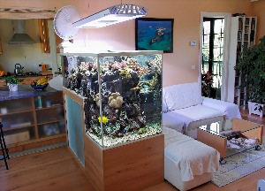 Зеленый уголок в квартире с аквариумом