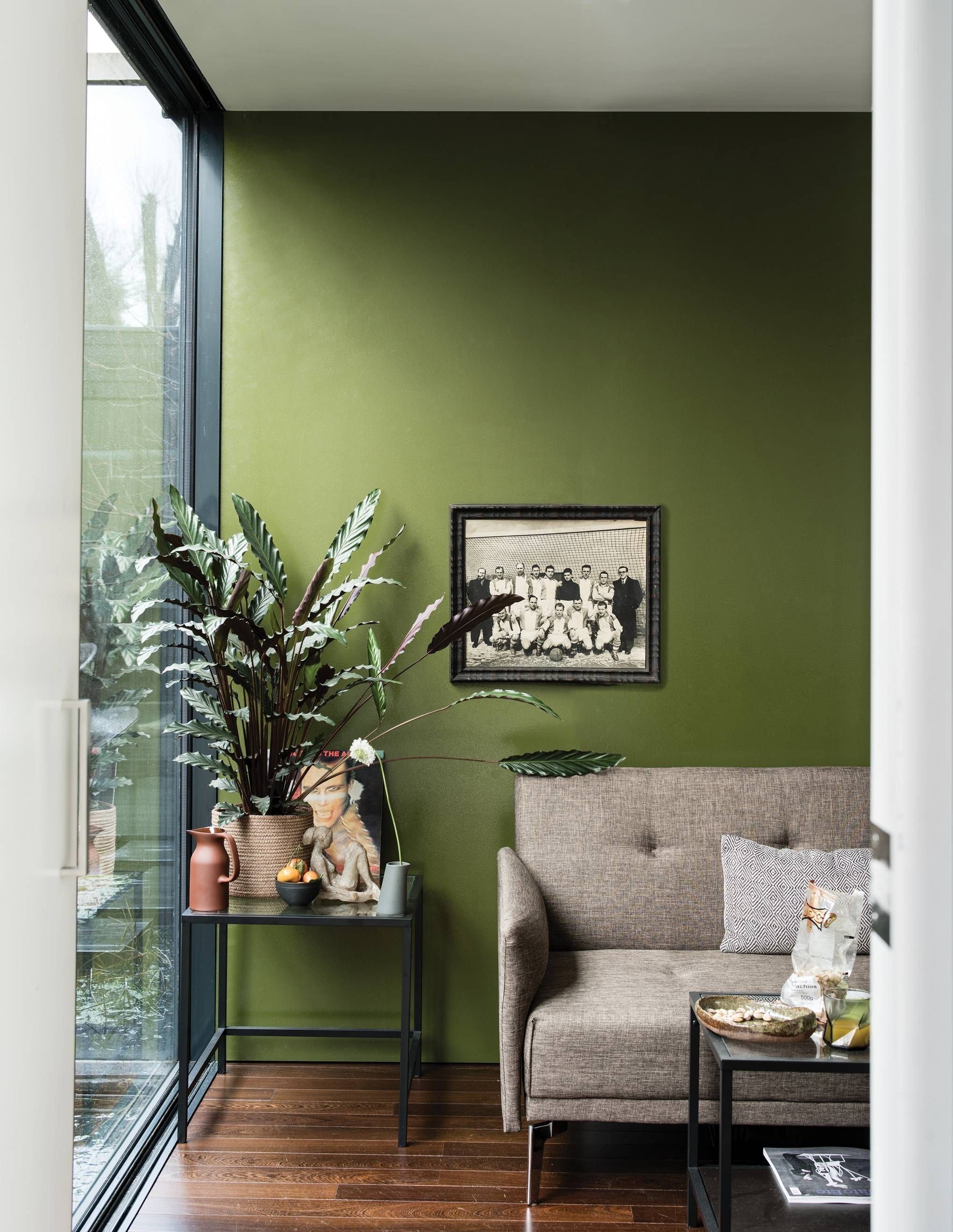 Хаки в интерьере. Dulux Sage Green. Хедегые стены в интерьера. Оливковый цвет в интерьере. Оливковые стены в интерьере.