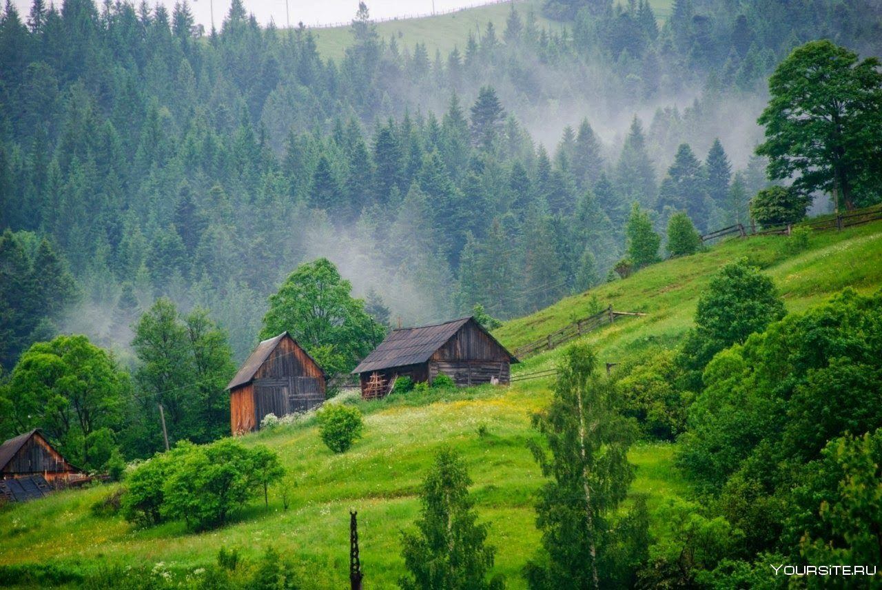 Снять дом в лесу карпаты | Смотреть 57 идеи на фото бесплатно