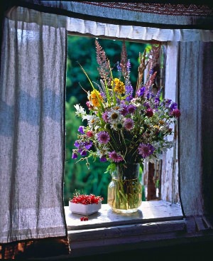 Окно с цветами