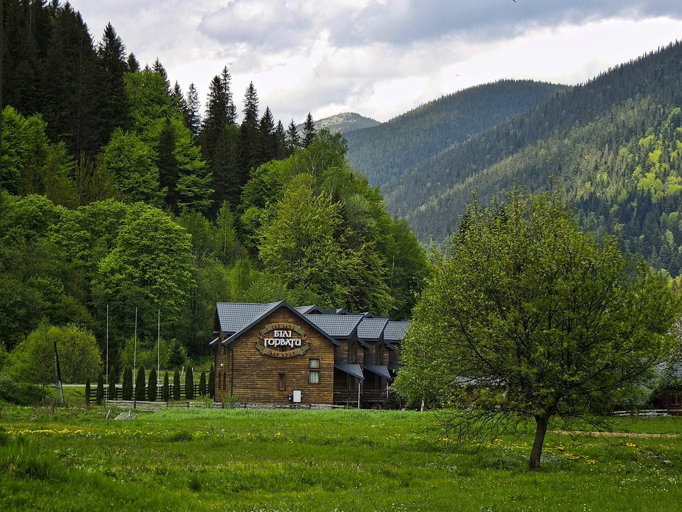 Карпаты Австрия