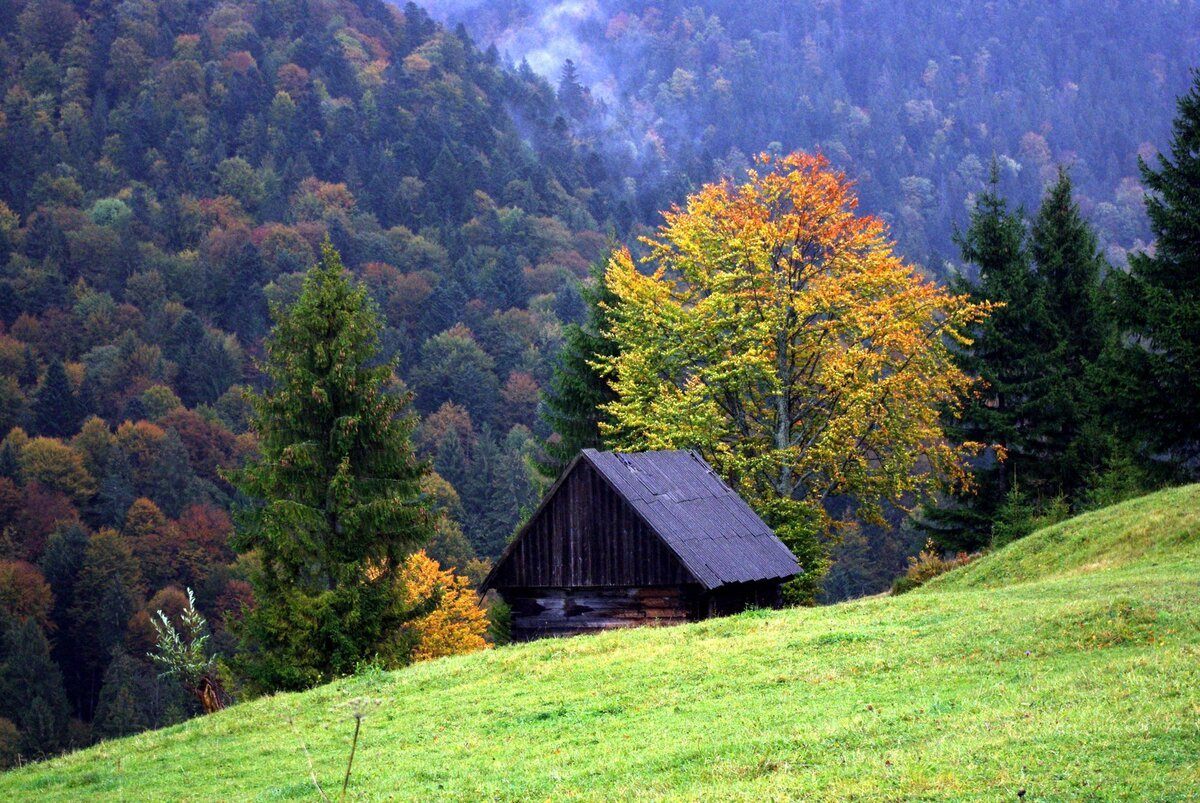 Карпатские горы Польша