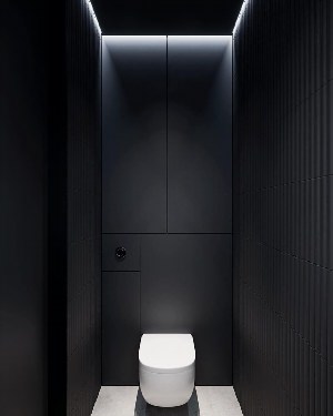 Дизайн туалета в черно белом цвете