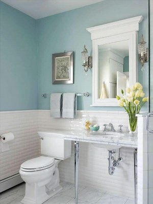 Дизайн ванной комнаты с покраской стен
