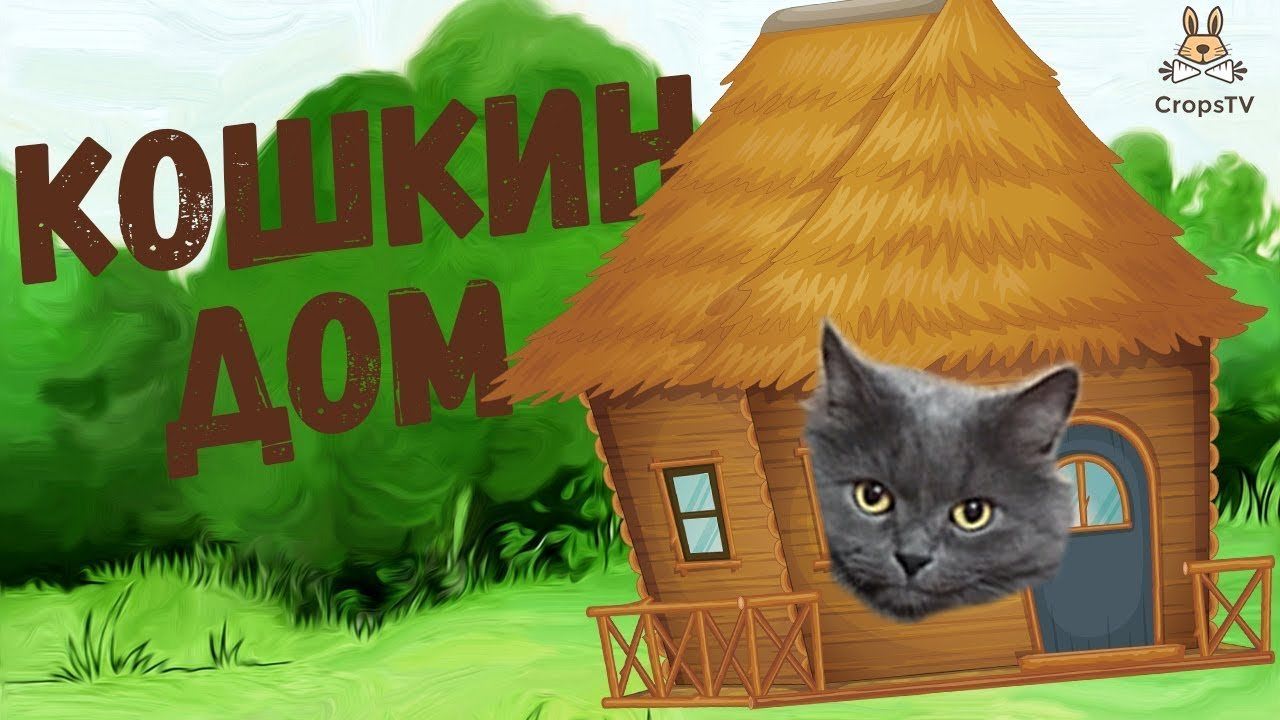 Кошкин дом кошка | Смотреть 29 идеи на фото бесплатно