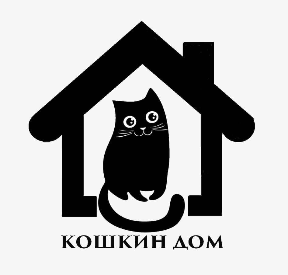 Кошкин дом кошка | Смотреть 29 идеи на фото бесплатно