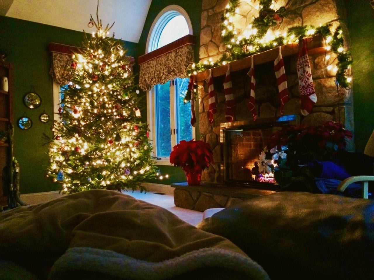 Christmas stay