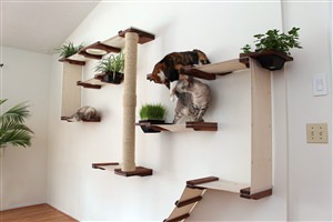Стена для кота
