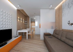 Эконом дизайн однокомнатной квартиры