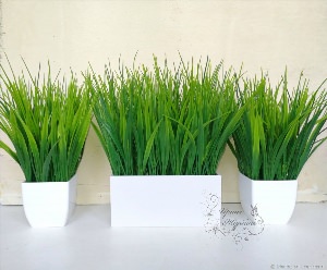Зеленая трава в горшках для интерьера