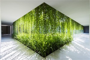 Искусственное озеленение стен в интерьере