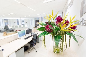 Цветы в интерьере офиса