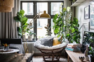 Зелень в интерьере квартиры