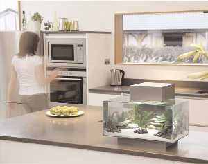 Дизайн кухонь с аквариумами