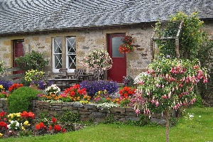Цветник перед домом в деревне