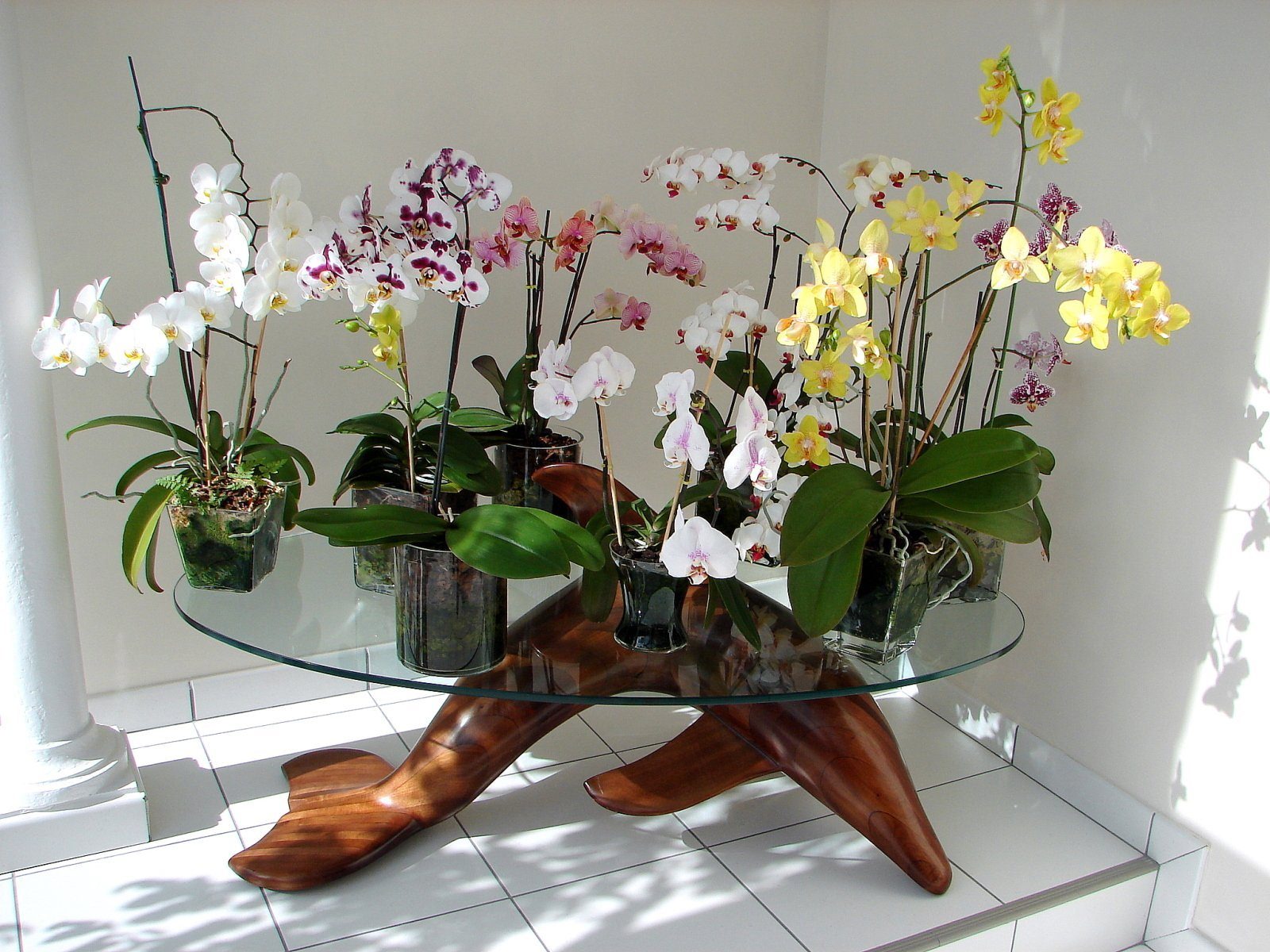 Обои с орхидеями на кухню - 68 фото