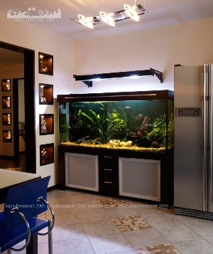 Маленький аквариум в гостиной